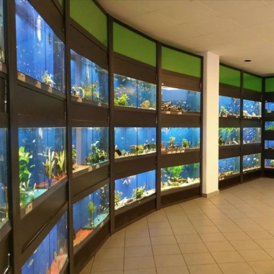 Aquaristik GmbH -  in Bergen auf Rügen in Bergen auf Rügen