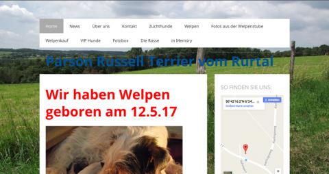 Parson Russel Terrier vom Rurtal -  in Hürtgenwald in Hürtgenwald