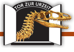 Tor zur Urzeit - Museum in Brügge | Brügge