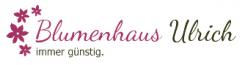 Blumenhaus Ulrich in Berlin | Berlin