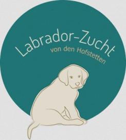 Labrador-Zucht Andreas Renner bei Stuttgart | Leinfelden-Echterdingen / Stuttgart