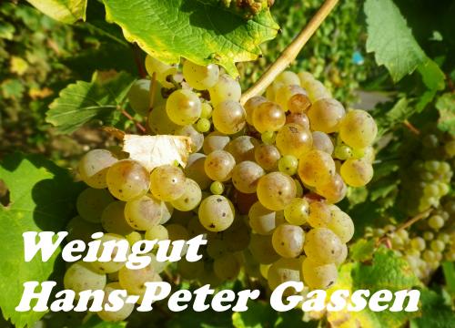 Firmenprofil von: Weingut Hans-Peter Gassen in Zell